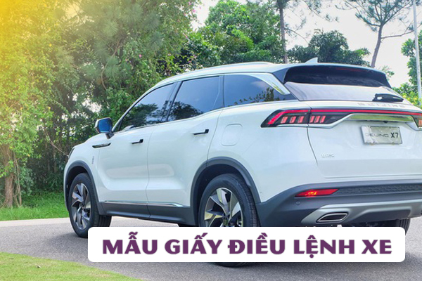 Lệnh Điều Xe Ô Tô: Mẫu Chuẩn Và Mẫu Theo Thông Tư 107