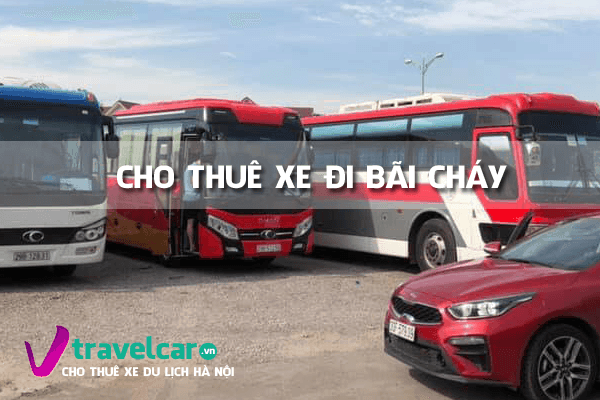 Cho Thuê Xe Đi Bãi Cháy 4–45 Chỗ Từ Hà Nội