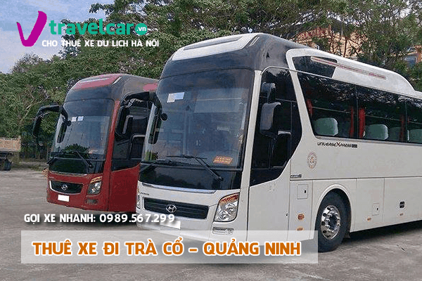 Thuê Xe Đi Trà Cổ, Móng Cái 4–45 Chỗ Từ Hà Nội