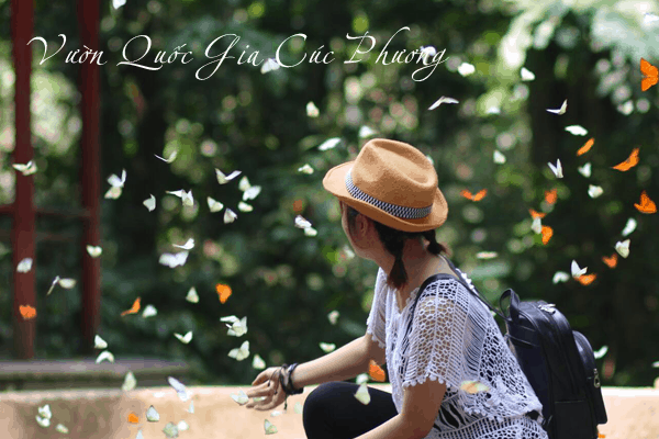 Bài viết tiếng Anh về vườn quốc gia Cúc Phương | Travelcar.vn